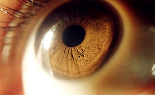 LA CICATRIZACIÓN DE LA CÓRNEA